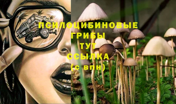 spice Россошь