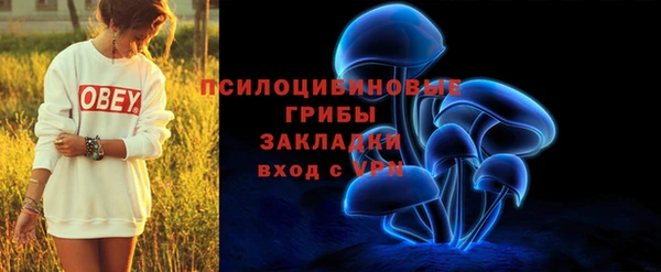 герыч Алзамай