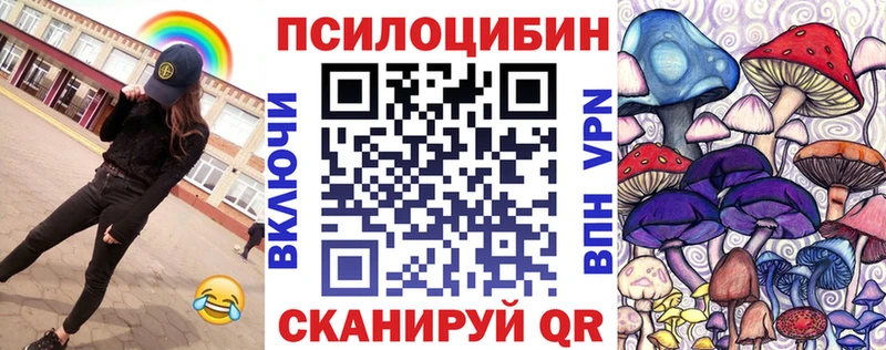 Галлюциногенные грибы Psilocybine cubensis  Осинники 