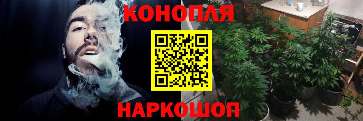 Бошки марихуана SATIVA & INDICA Осинники